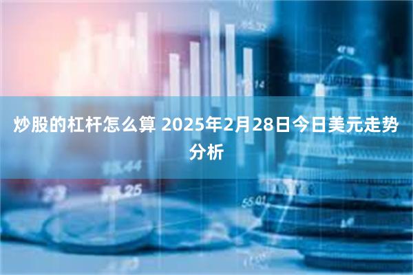 炒股的杠杆怎么算 2025年2月28日今日美元走势分析