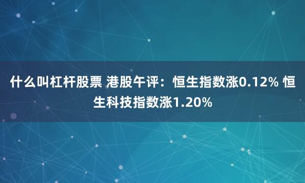 什么叫杠杆股票 港股午评：恒生指数涨0.12% 恒生科技指数涨1.20%