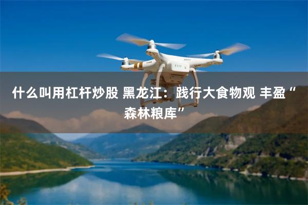 什么叫用杠杆炒股 黑龙江：践行大食物观 丰盈“森林粮库”