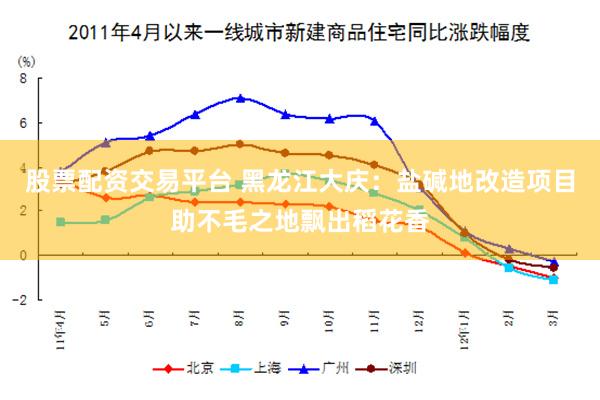 股票配资交易平台 黑龙江大庆：盐碱地改造项目助不毛之地飘出稻花香