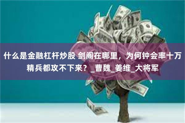 什么是金融杠杆炒股 剑阁在哪里，为何钟会率十万精兵都攻不下来？_曹魏_姜维_大将军