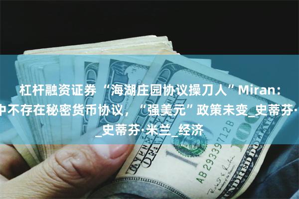杠杆融资证券 “海湖庄园协议操刀人”Miran：贸易谈判中不存在秘密货币协议，“强美元”政策未变_史蒂芬·米兰_经济