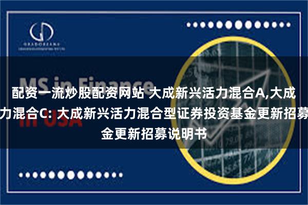 配资一流炒股配资网站 大成新兴活力混合A,大成新兴活力混合C: 大成新兴活力混合型证券投资基金更新招募说明书