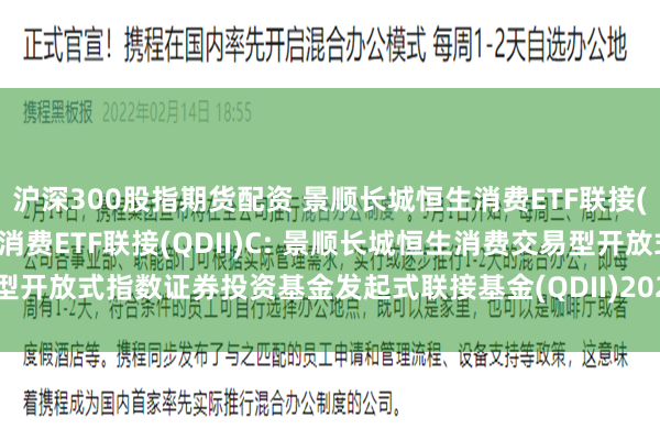 沪深300股指期货配资 景顺长城恒生消费ETF联接(QDII)A,景顺长城恒生消费ETF联接(QDII)C: 景顺长城恒生消费交易型开放式指数证券投资基金发起式联接基金(QDII)2025年第1号更新招募说明书