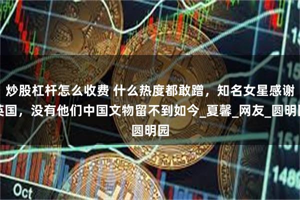 炒股杠杆怎么收费 什么热度都敢蹭，知名女星感谢英国，没有他们中国文物留不到如今_夏馨_网友_圆明园