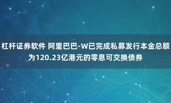 杠杆证券软件 阿里巴巴-W已完成私募发行本金总额为120.23亿港元的零息可交换债券