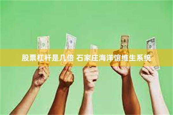 股票杠杆是几倍 石家庄海洋馆维生系统