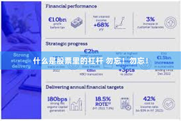 什么是股票里的杠杆 勿忘！勿忘！