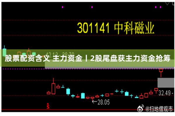 股票配资含义 主力资金丨2股尾盘获主力资金抢筹