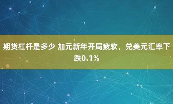 期货杠杆是多少 加元新年开局疲软，兑美元汇率下跌0.1%